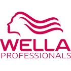 wella main logo094csmall PMS200